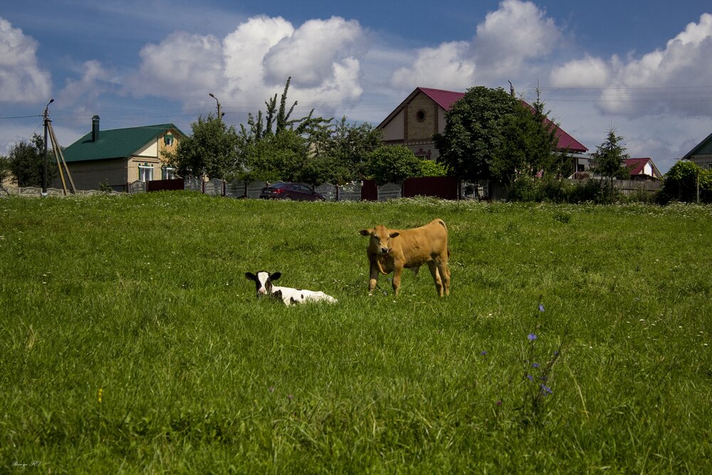 Photograph by Елена Фатьянова