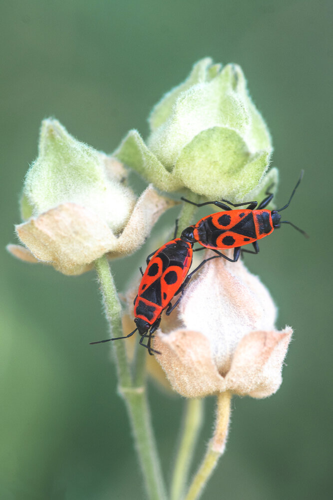 Photograph by Вика Фолина