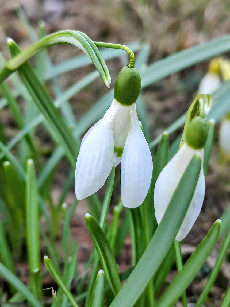 Photograph by Анна Андреевна