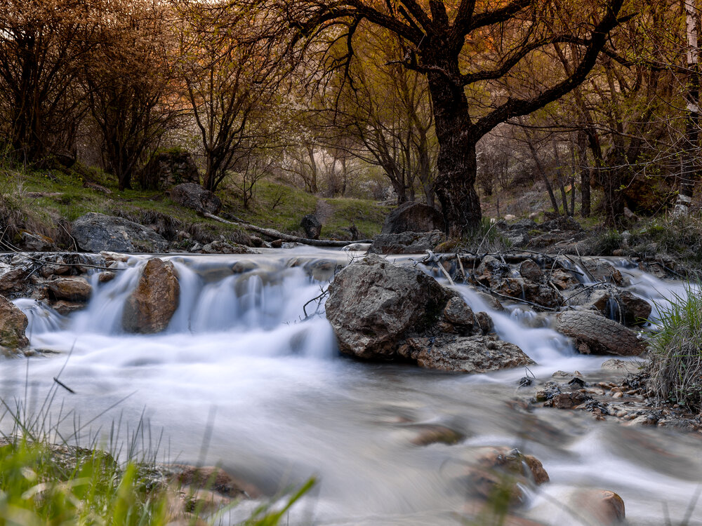 Photograph by Igor Maksimenko