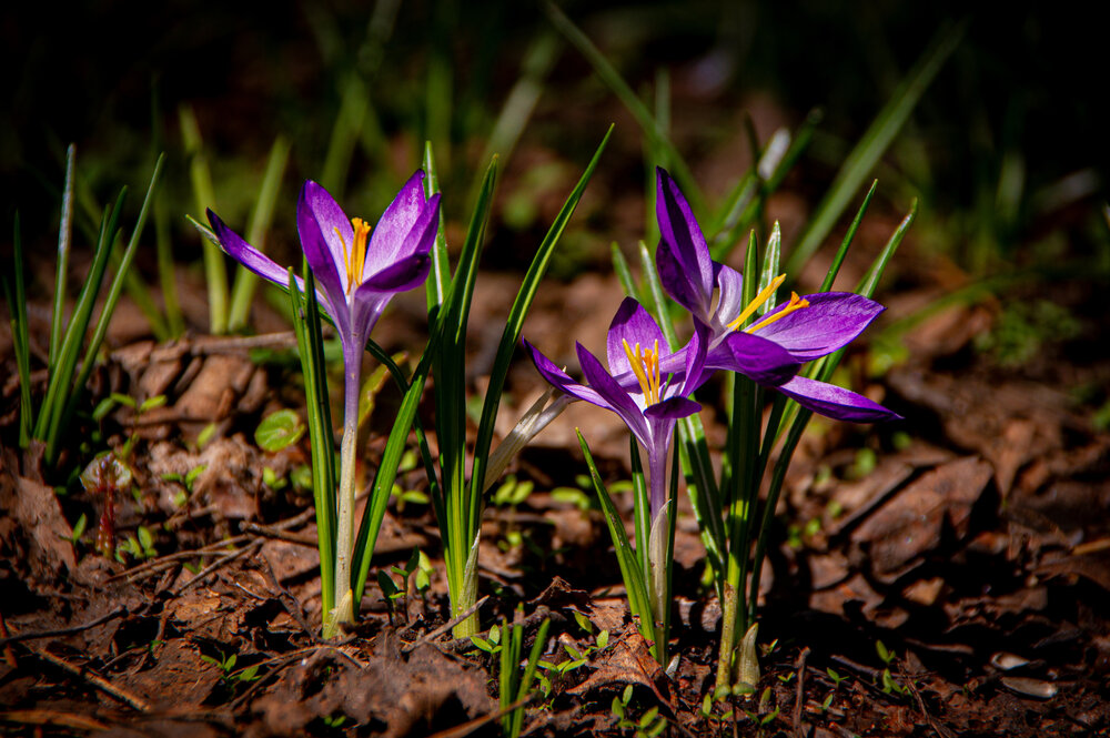 Photograph by Фролов Антон