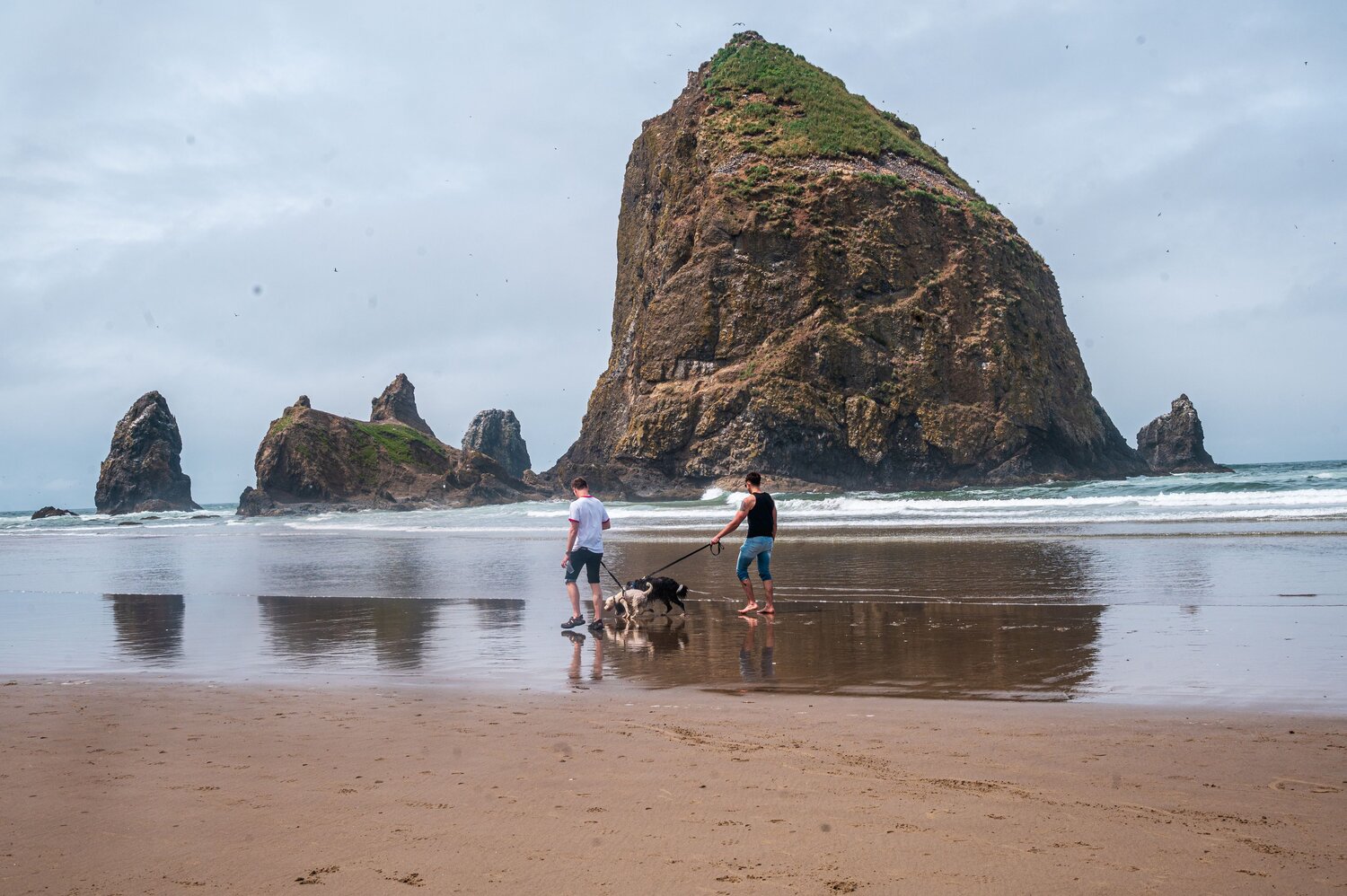 Photo #13892464