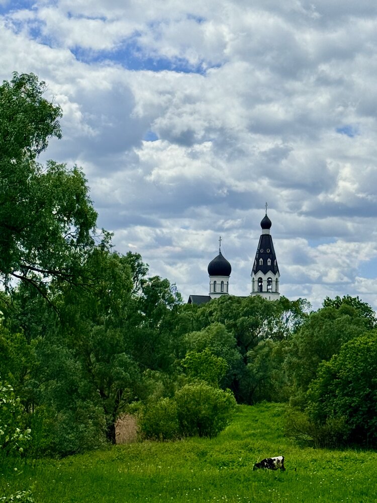 Черно-белые акценты