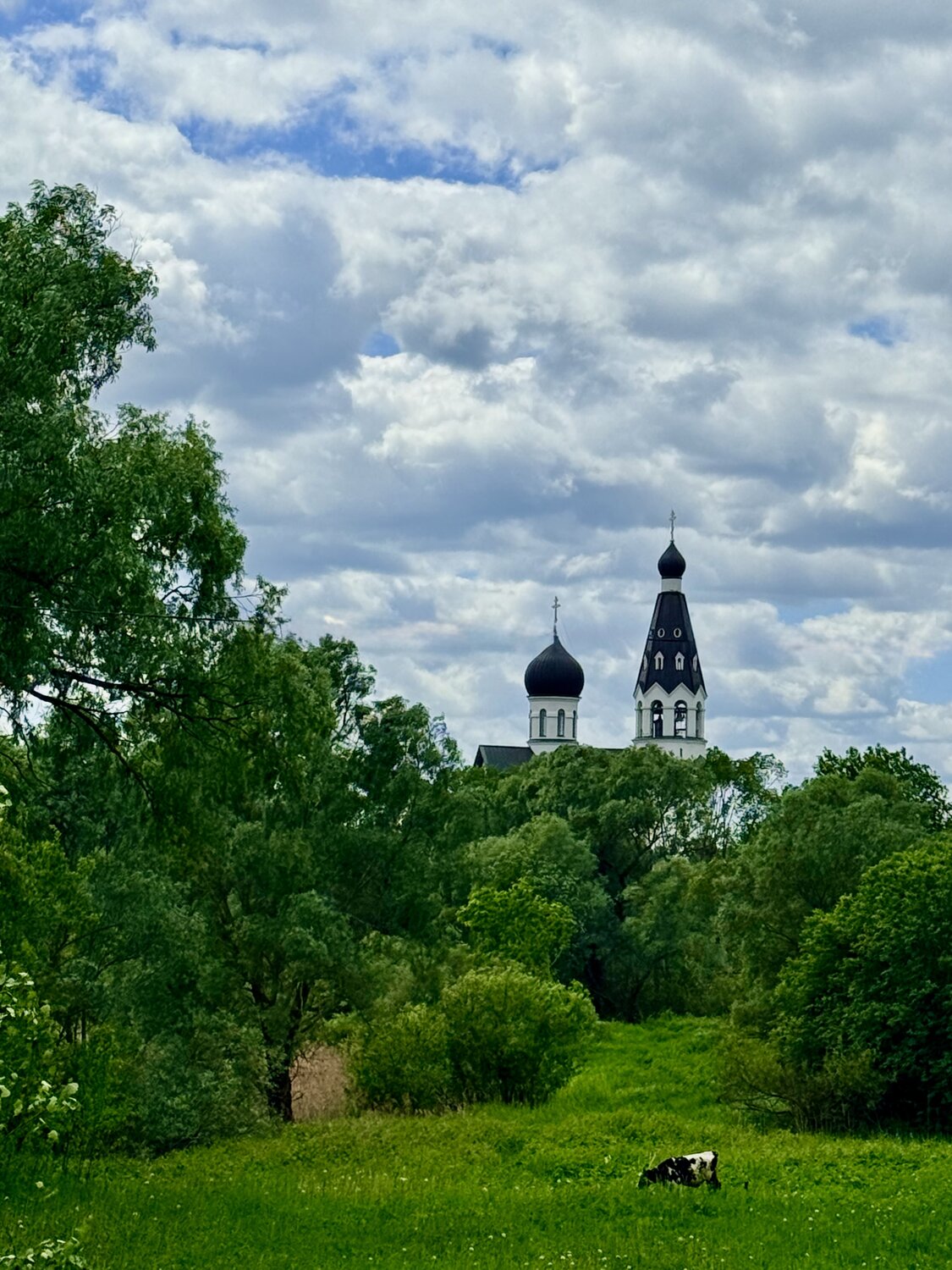 Черно-белые акценты