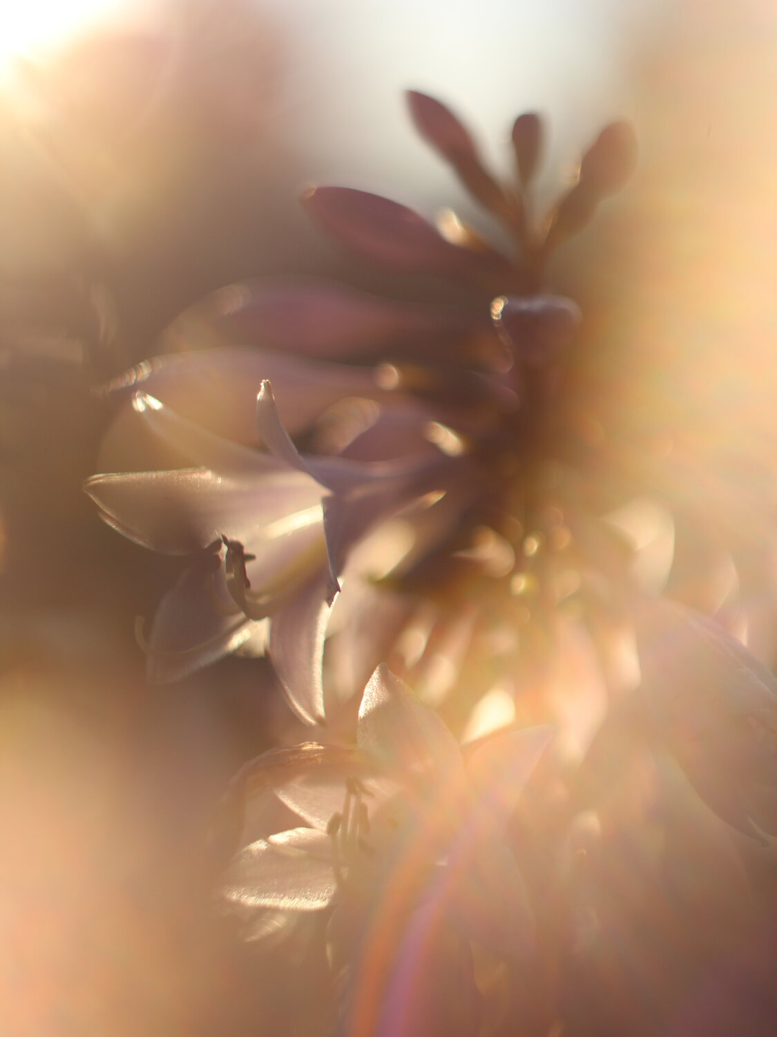 Photo #13892604