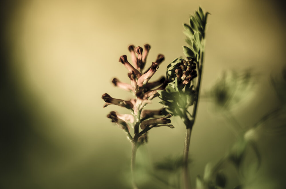 Photograph by Юрий Сушков