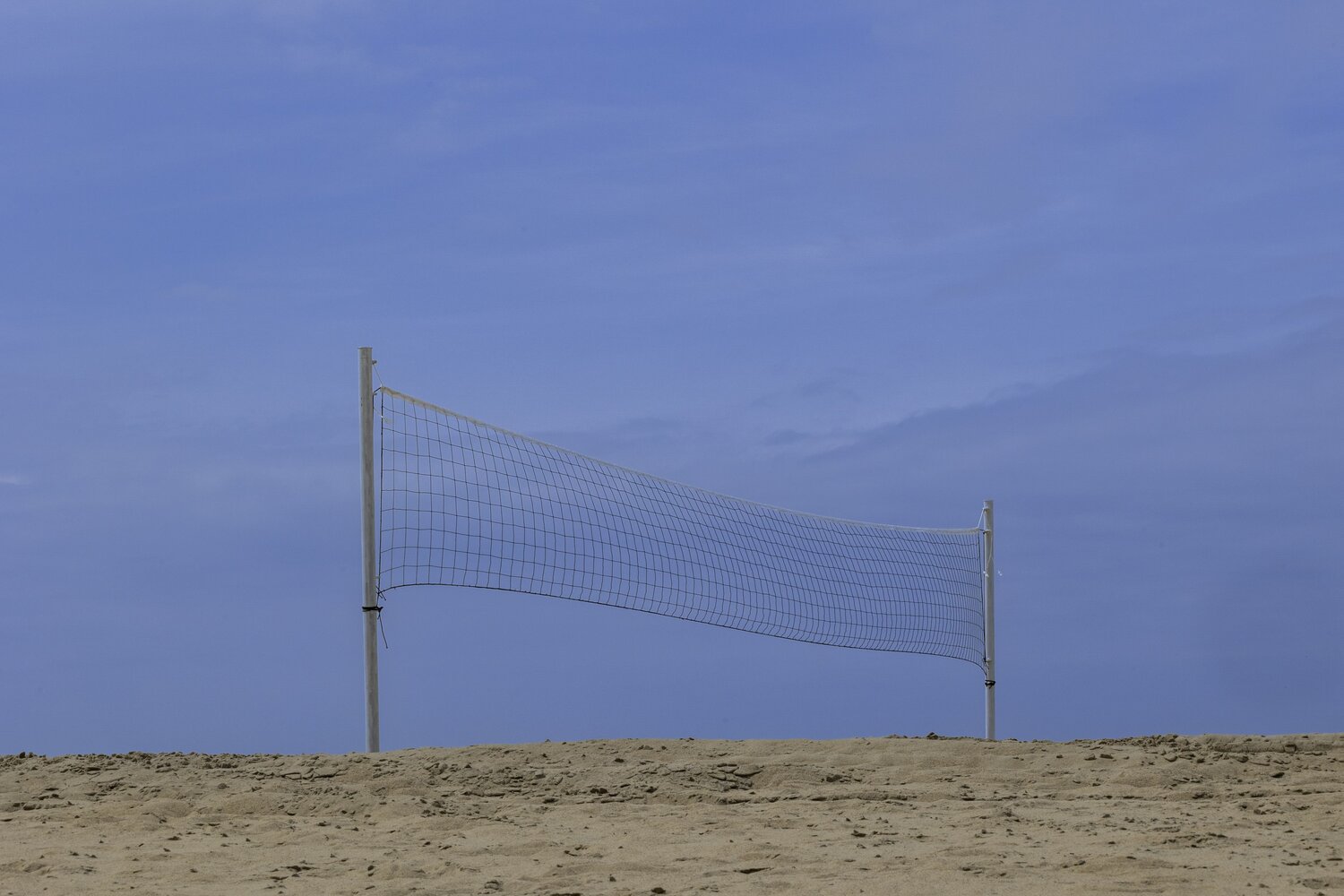 Photo #13892665