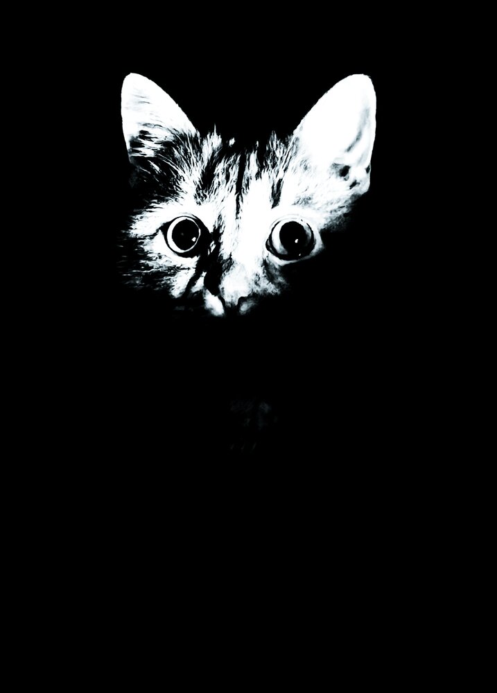 Photograph by Виталий