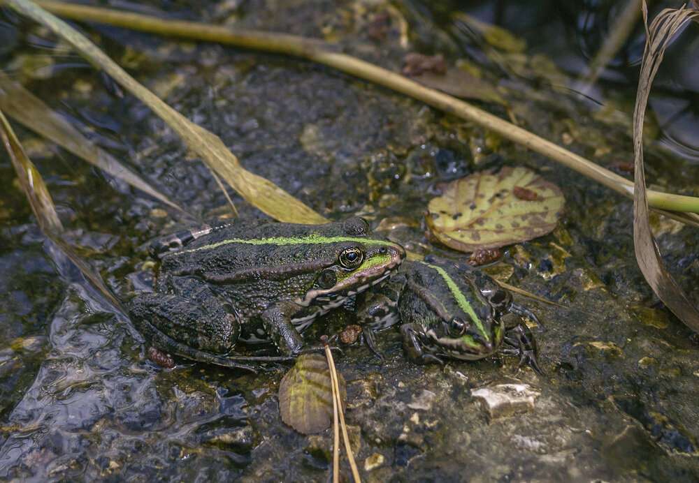 Photograph by Цветков Сергей