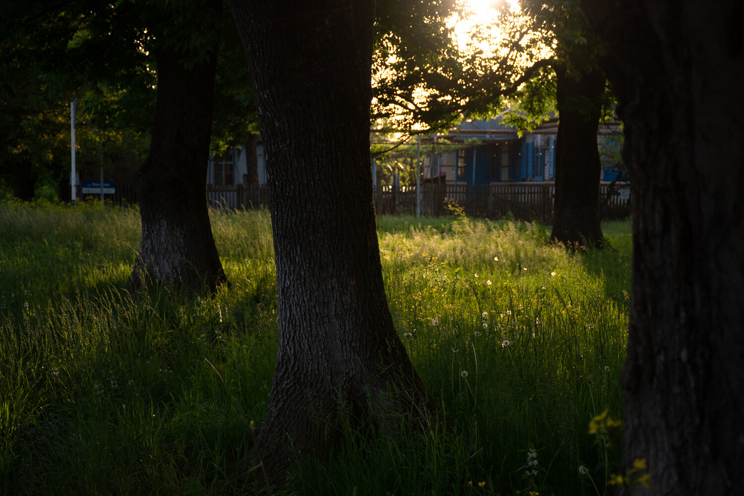 Photo #13892857