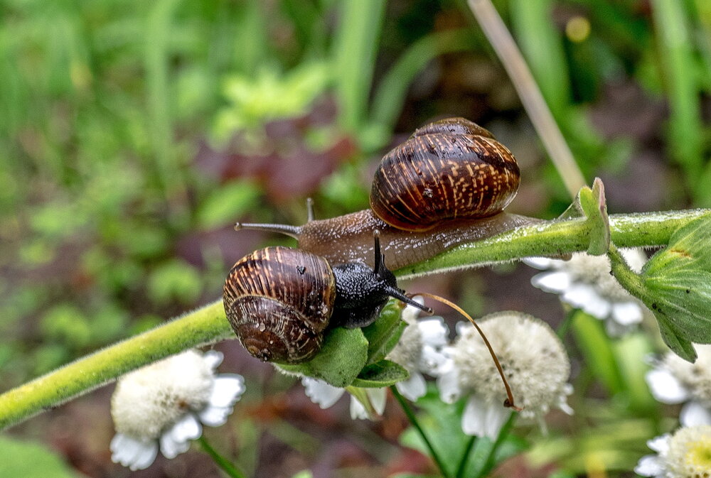 Photograph by Валерий Смирнов
