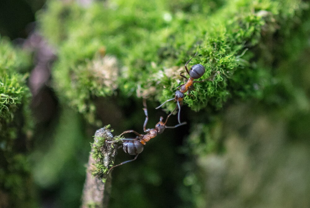 Photograph by Валерий Смирнов