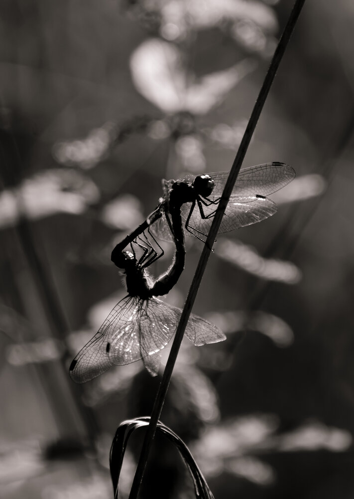 Photograph by Любовь Бусова