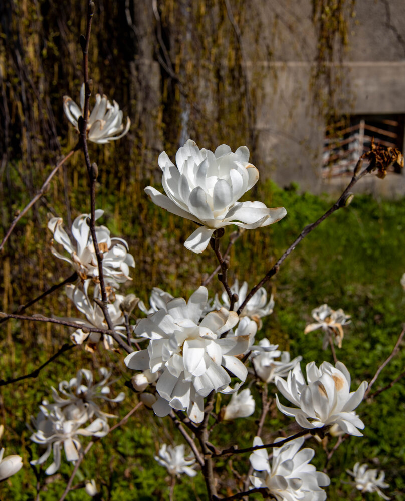 Photograph by Ineta Osipoviča