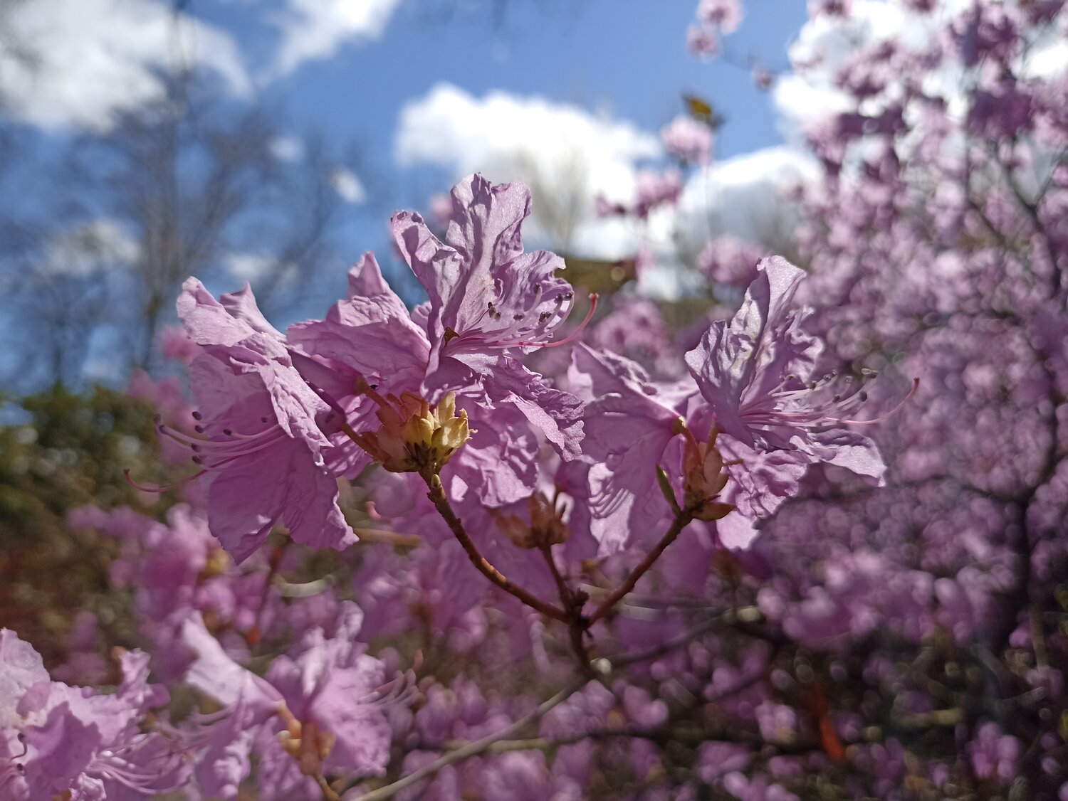 Photo #13892989