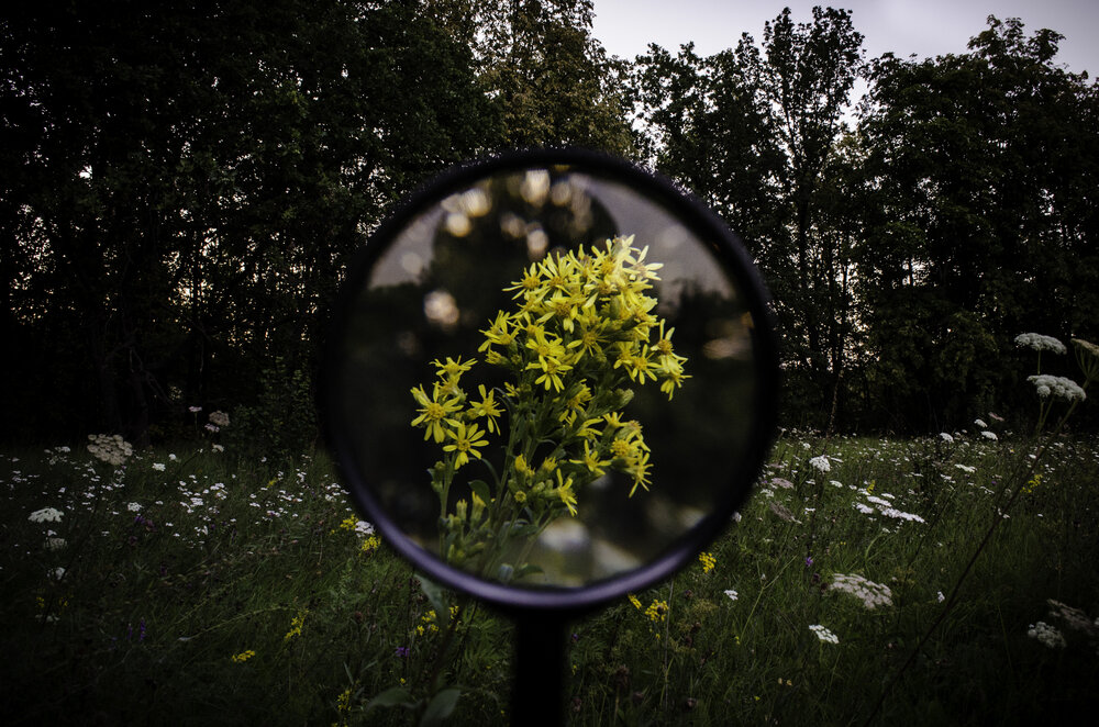 Photograph by Юрий Сушков