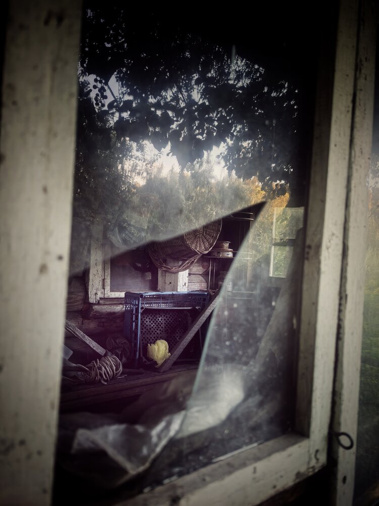 Photograph by Наталия Самкина