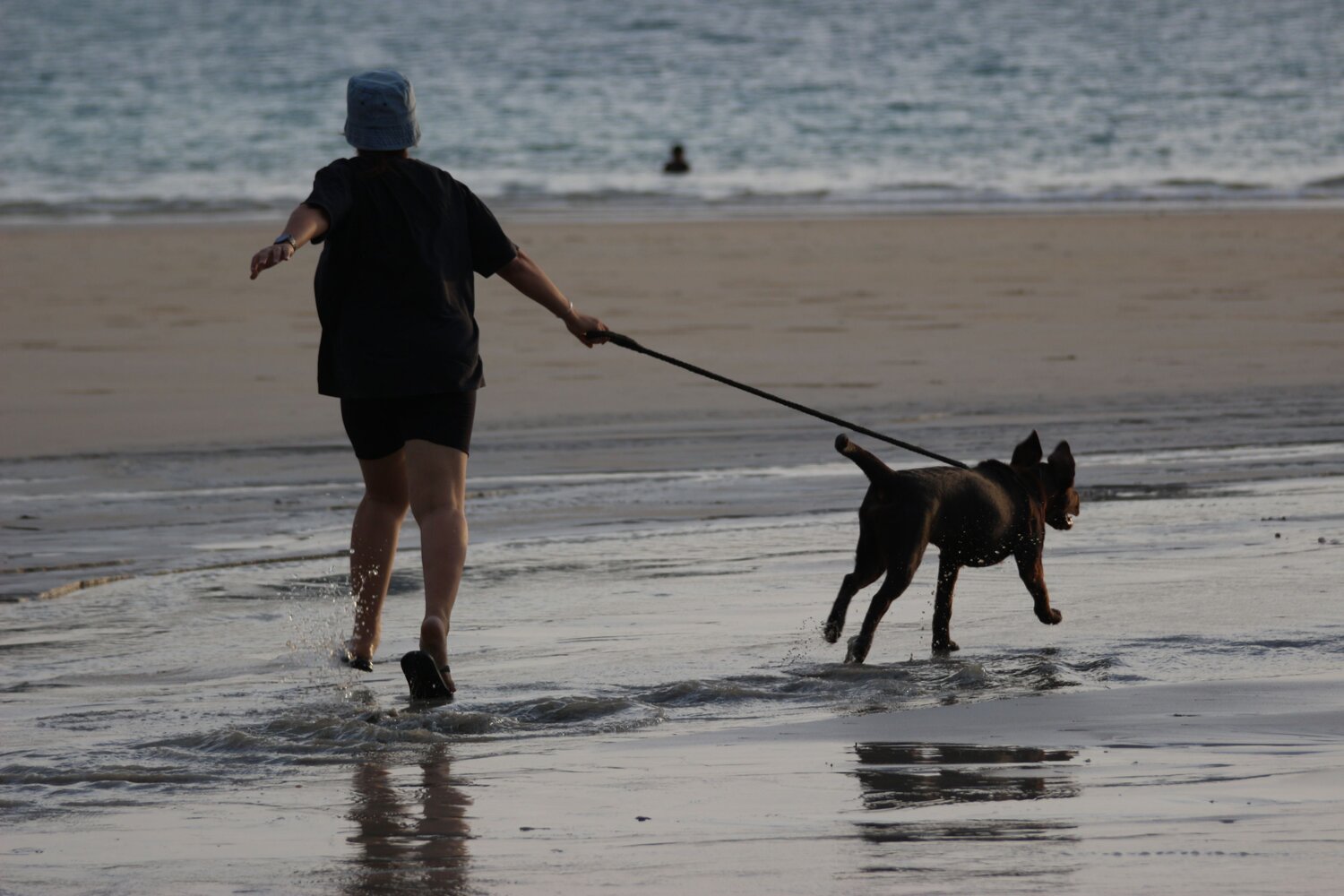 Photo #13893059