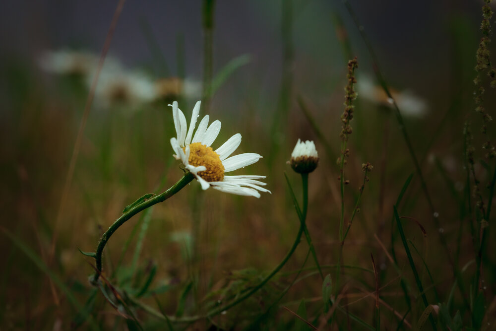 Photograph by Куликов Олег