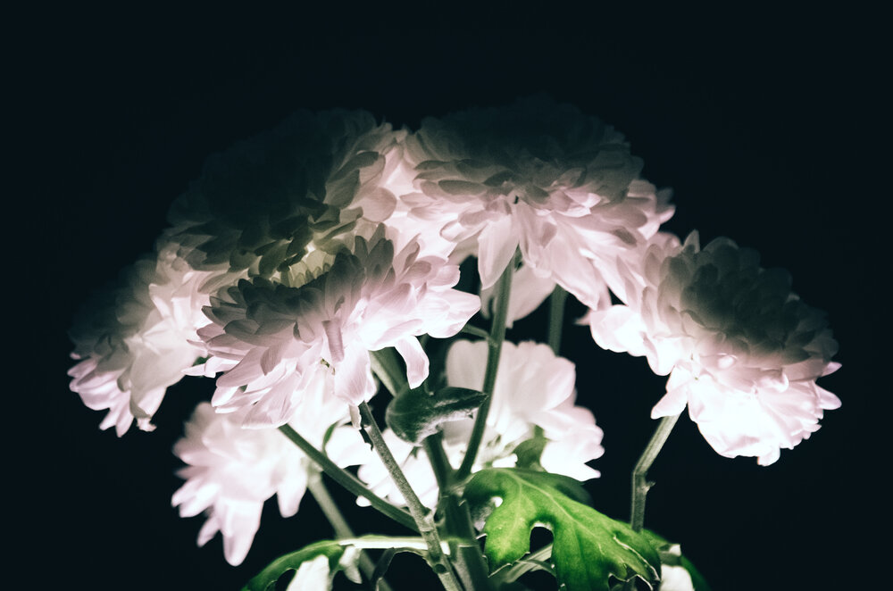 Photograph by Дмитрий Пронин