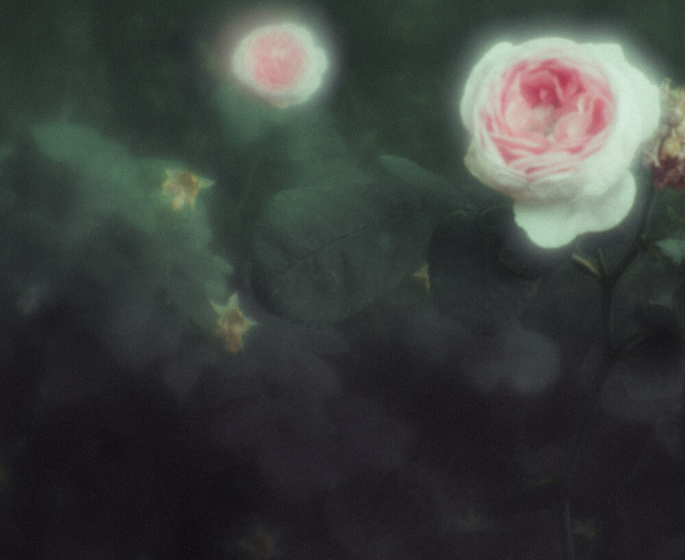 Photograph by Дмитрий Пронин