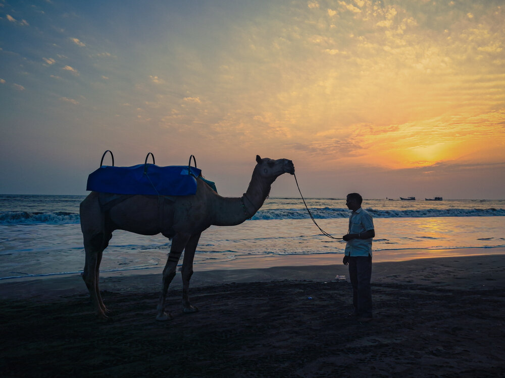 Photograph by Sadiq Seyed