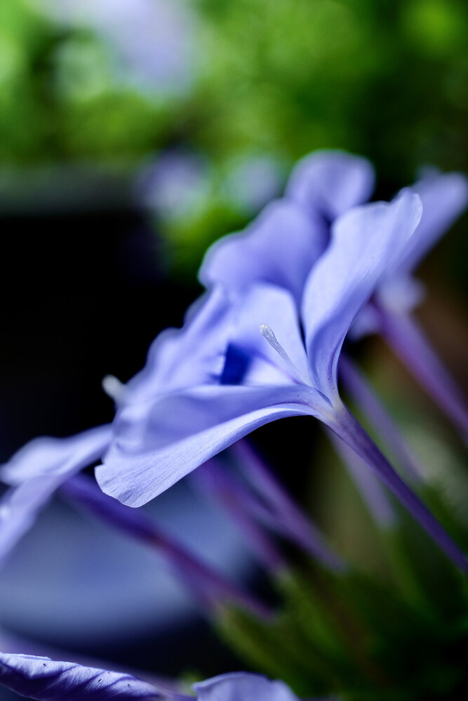 Photo #13893238