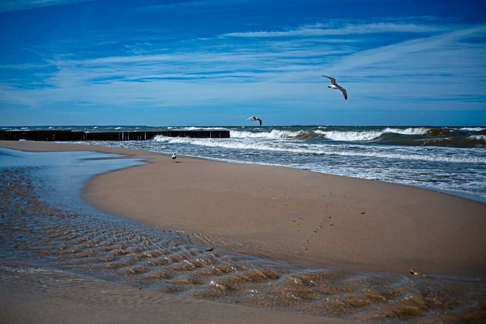 Photograph by Ольга Кривенцова