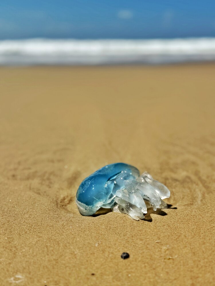 Photograph by Юлия Порфирьева