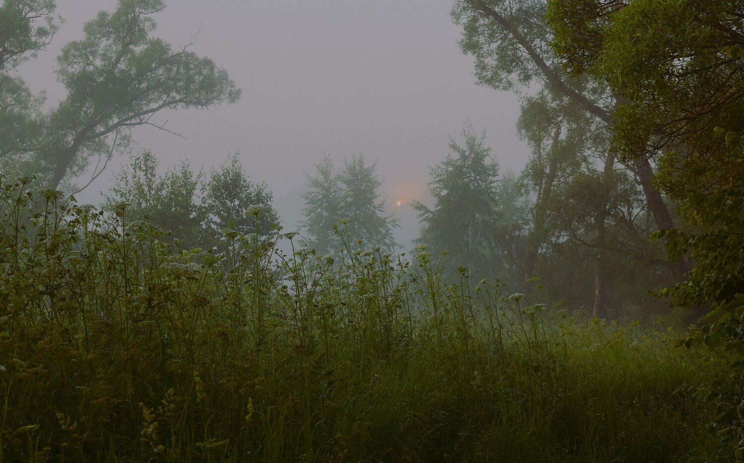 Photo #13893339