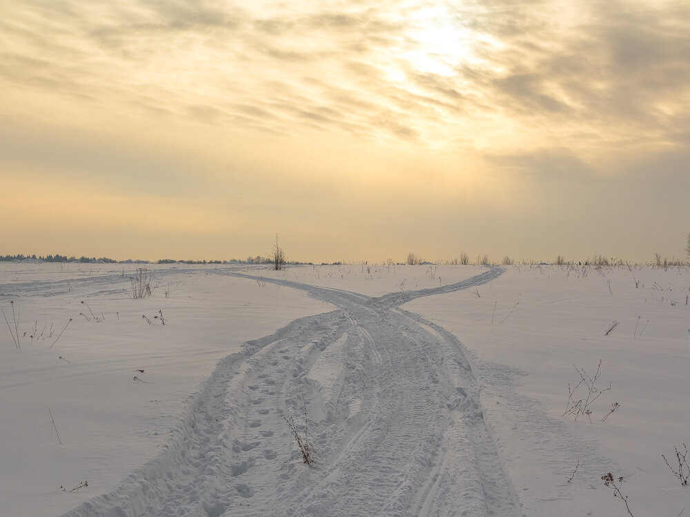Photograph by Наталья Колеватова
