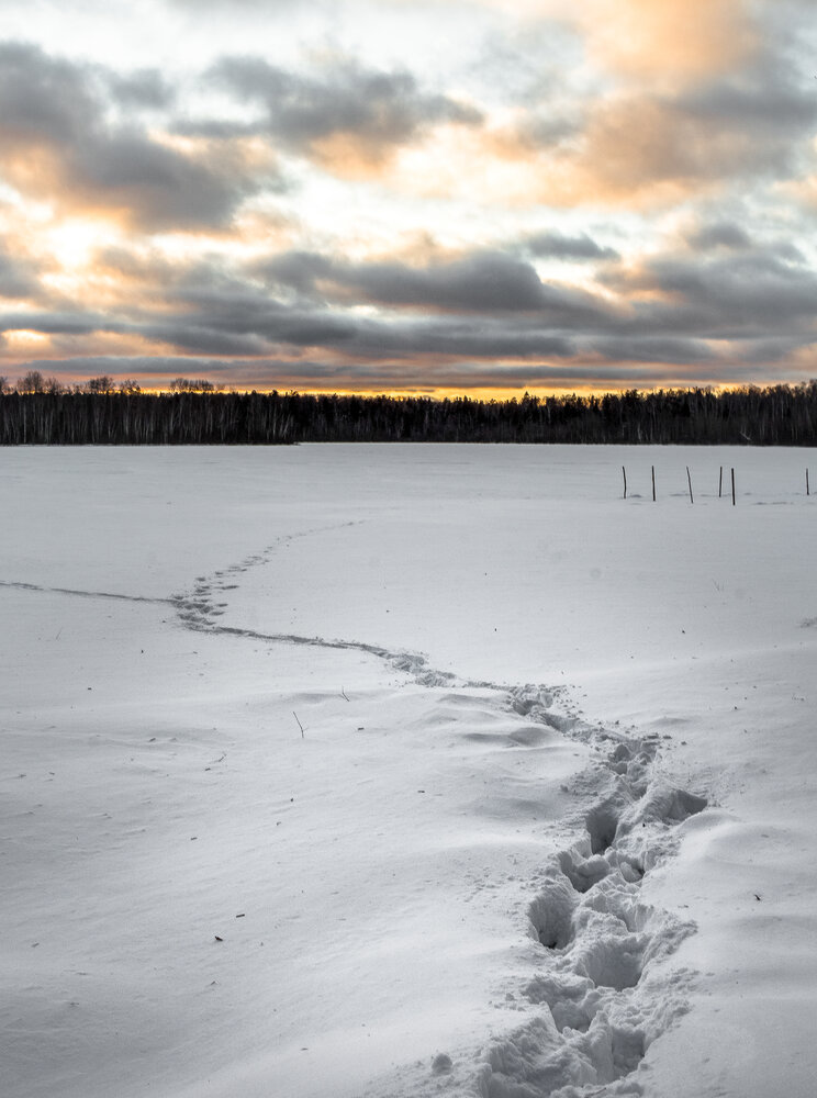 Photograph by Наталья Колеватова