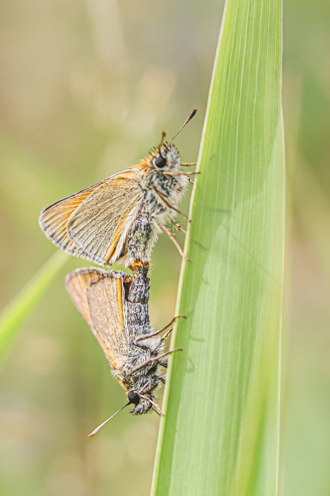 Photograph by Аня Проскурякова