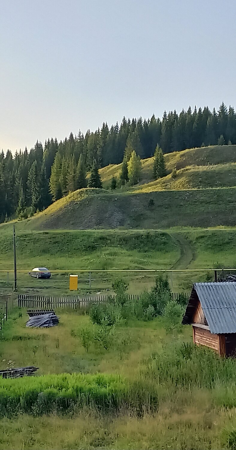 Photo #13893502