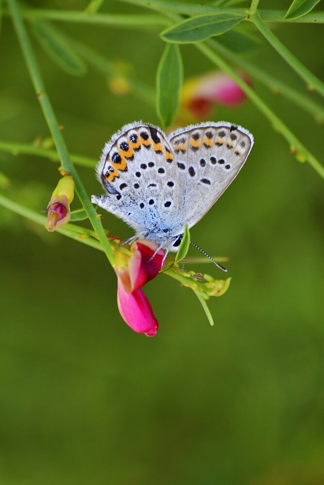 Photograph by Elena Mironova