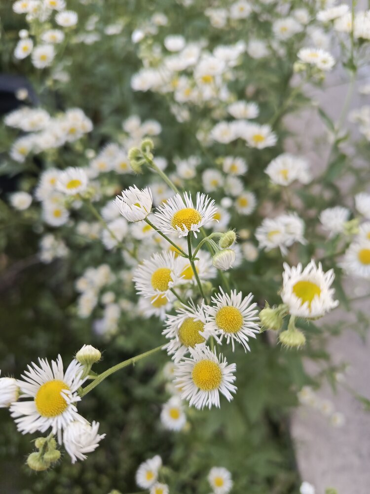 Photograph by Наталья Никитина
