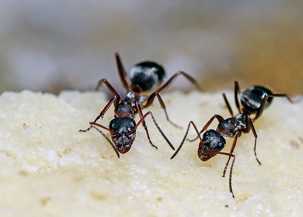 Photograph by Александр