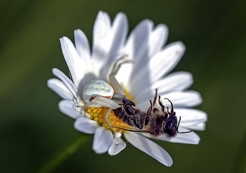 Photograph by Александр