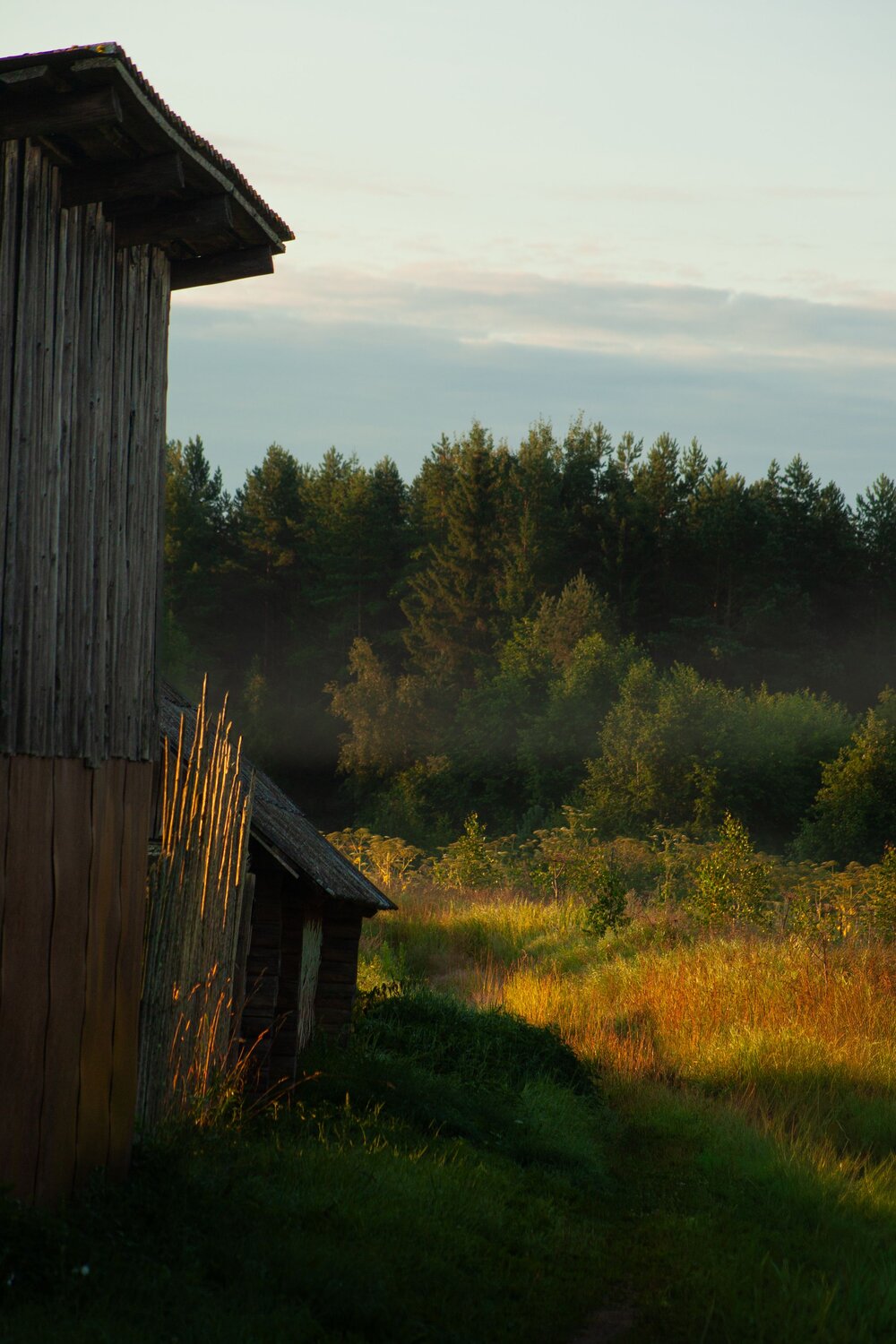 Photo #13893602