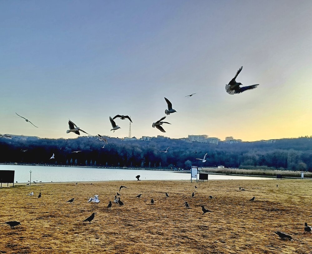 Photograph by Vadym Melnyk