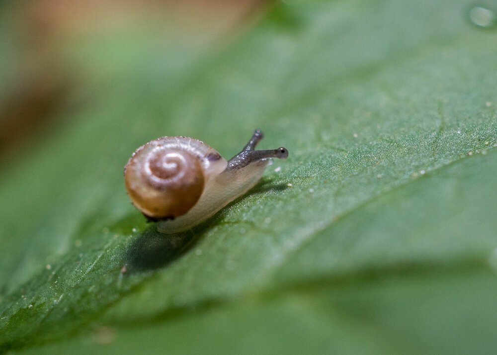 Photograph by Кадиров Азат
