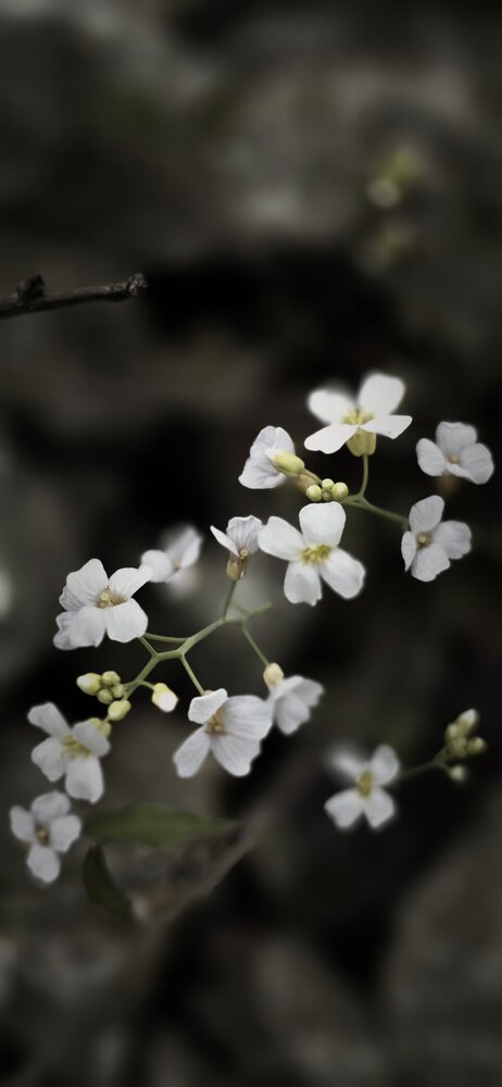 Photograph by Галина Перепечаева