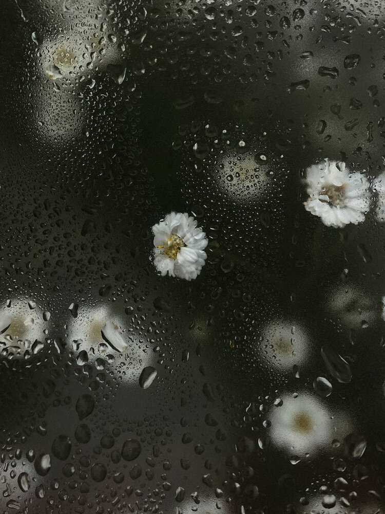 Photograph by Анастасия Гульванюк