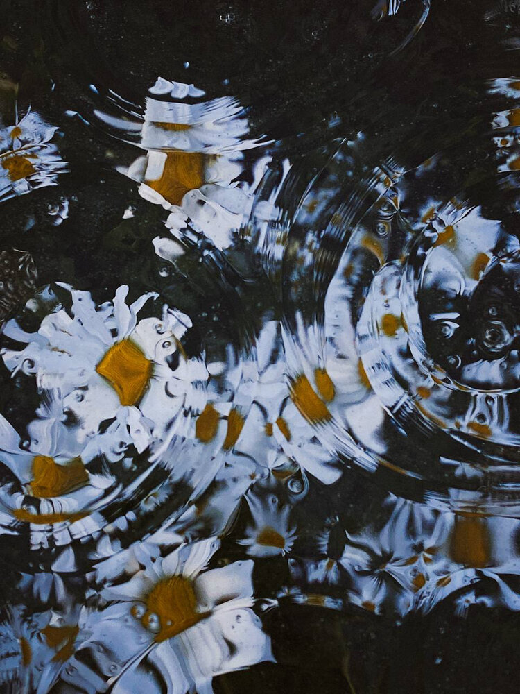 Photograph by Анастасия Гульванюк