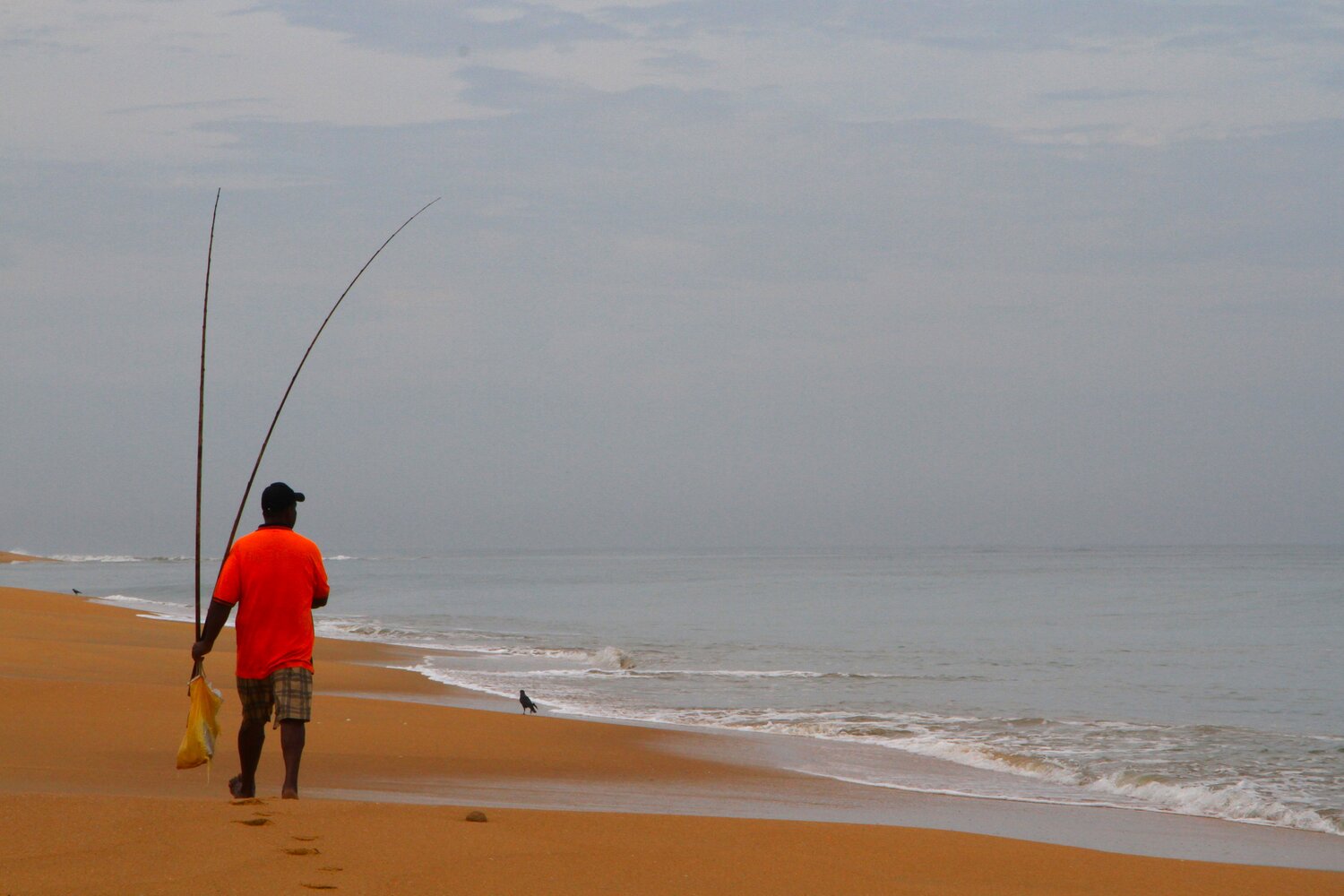 Photo #13893669