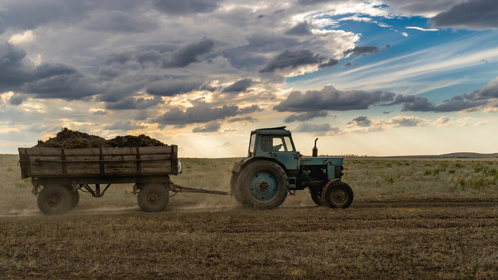 Photograph by Денис Базаров