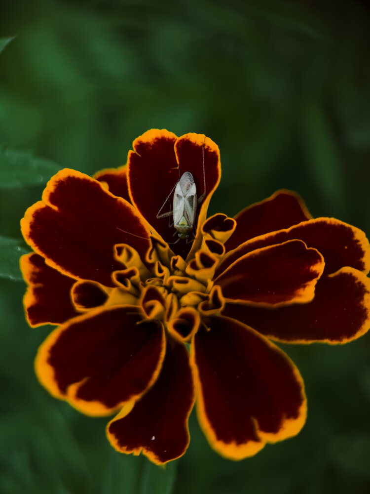 Photograph by Ася Жгенти