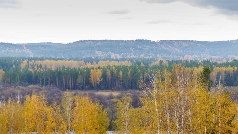 Photograph by Денис Базаров