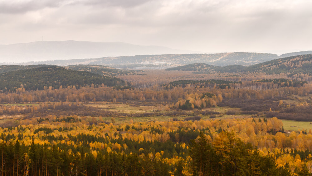 Photograph by Денис Базаров