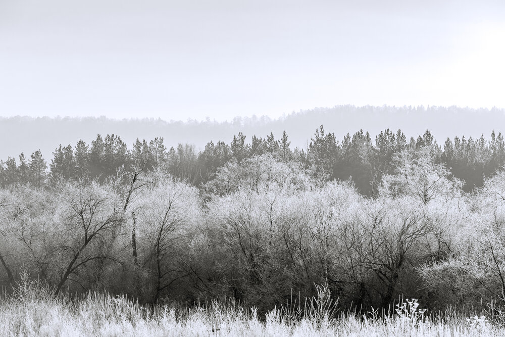 Photograph by Денис Базаров